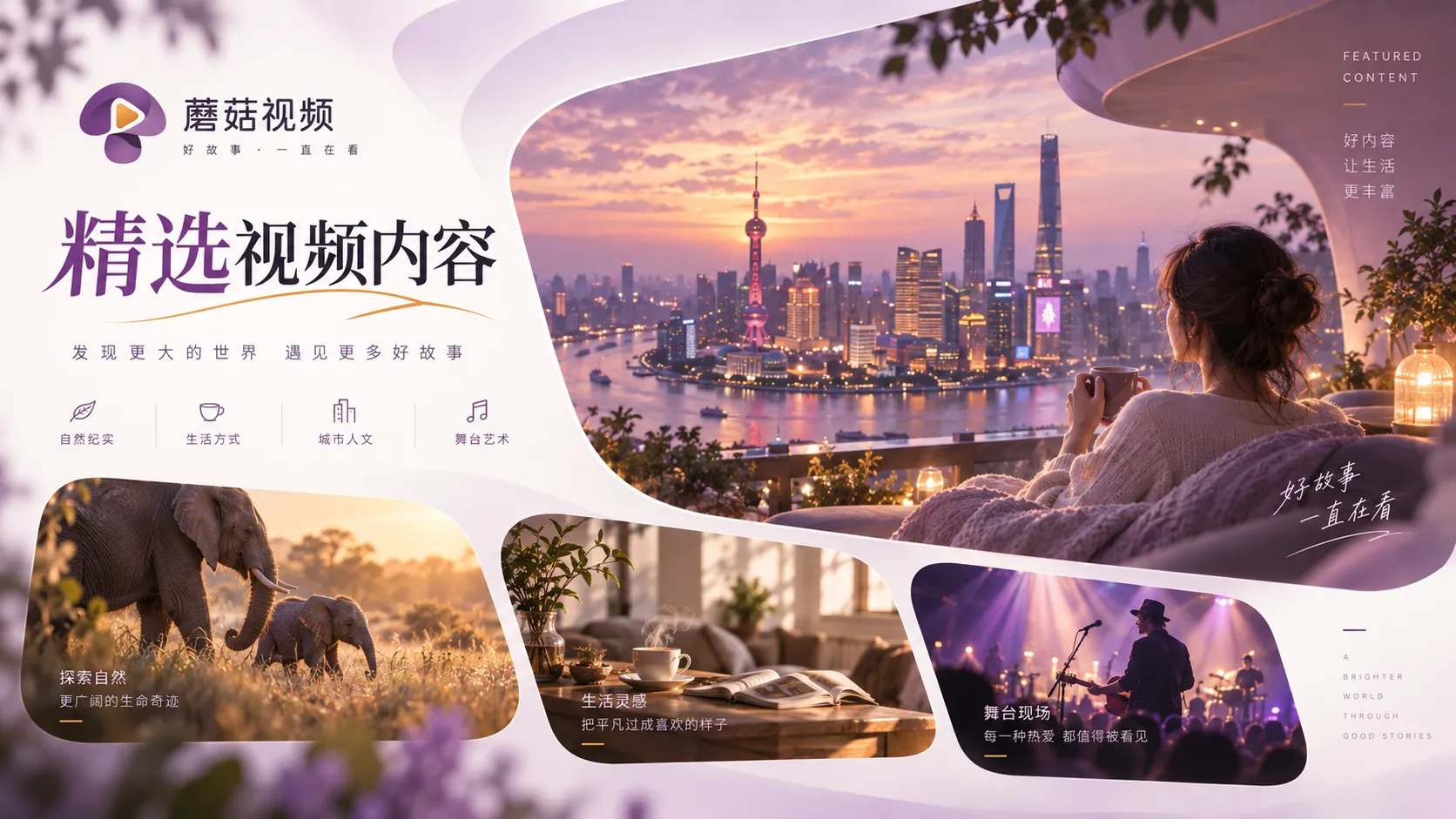 蘑菇视频在线观看主题内容整理